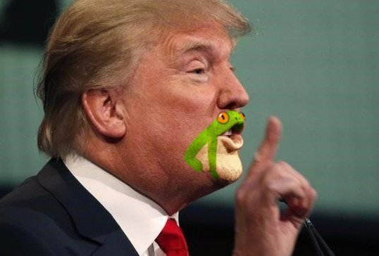 Trump, Chin, Frog, America, Ideas, Ideals, Racism, Pepe, Pepe the frog, frog, toad